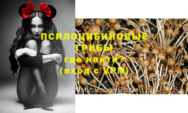 дмт Белокуриха