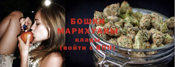 дмт Белокуриха
